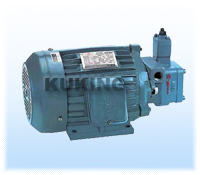 Motor and Variable Displacement Vane Pump Assembly